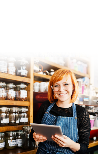 Small Business Owner Using Internet Services