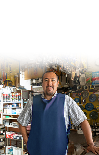 Small Business Owners Using Internet Services