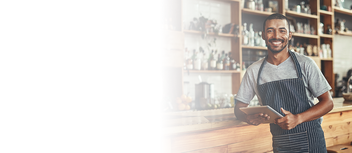 Small Business Owners Using Internet Services