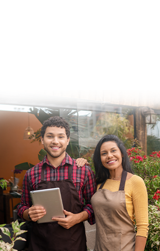 Small Business Owners Using Internet Services