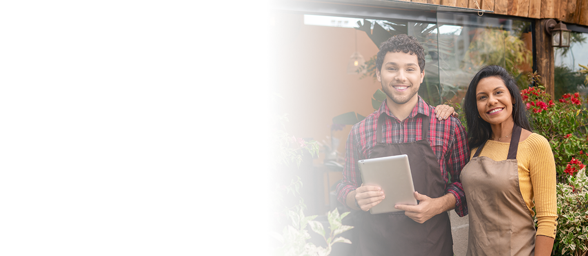 Small Business Owners Using Internet Services