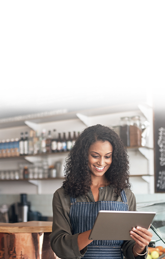 Small Business Owners Using Internet Services