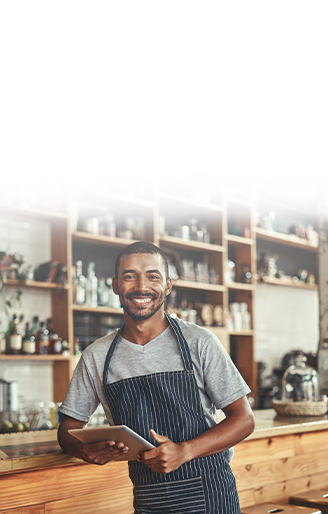 Small Business Owners Using Internet Services