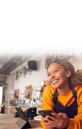 Small Business Owners Using Internet Services