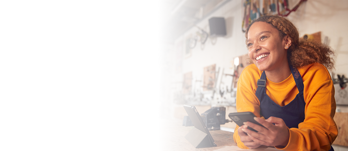 Small Business Owners Using Internet Services