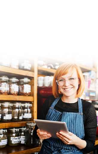 Small Business Owners Using Internet Services