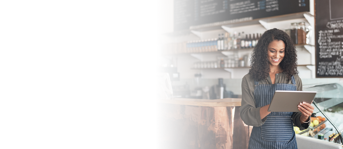 Small Business Owners Using Internet Services